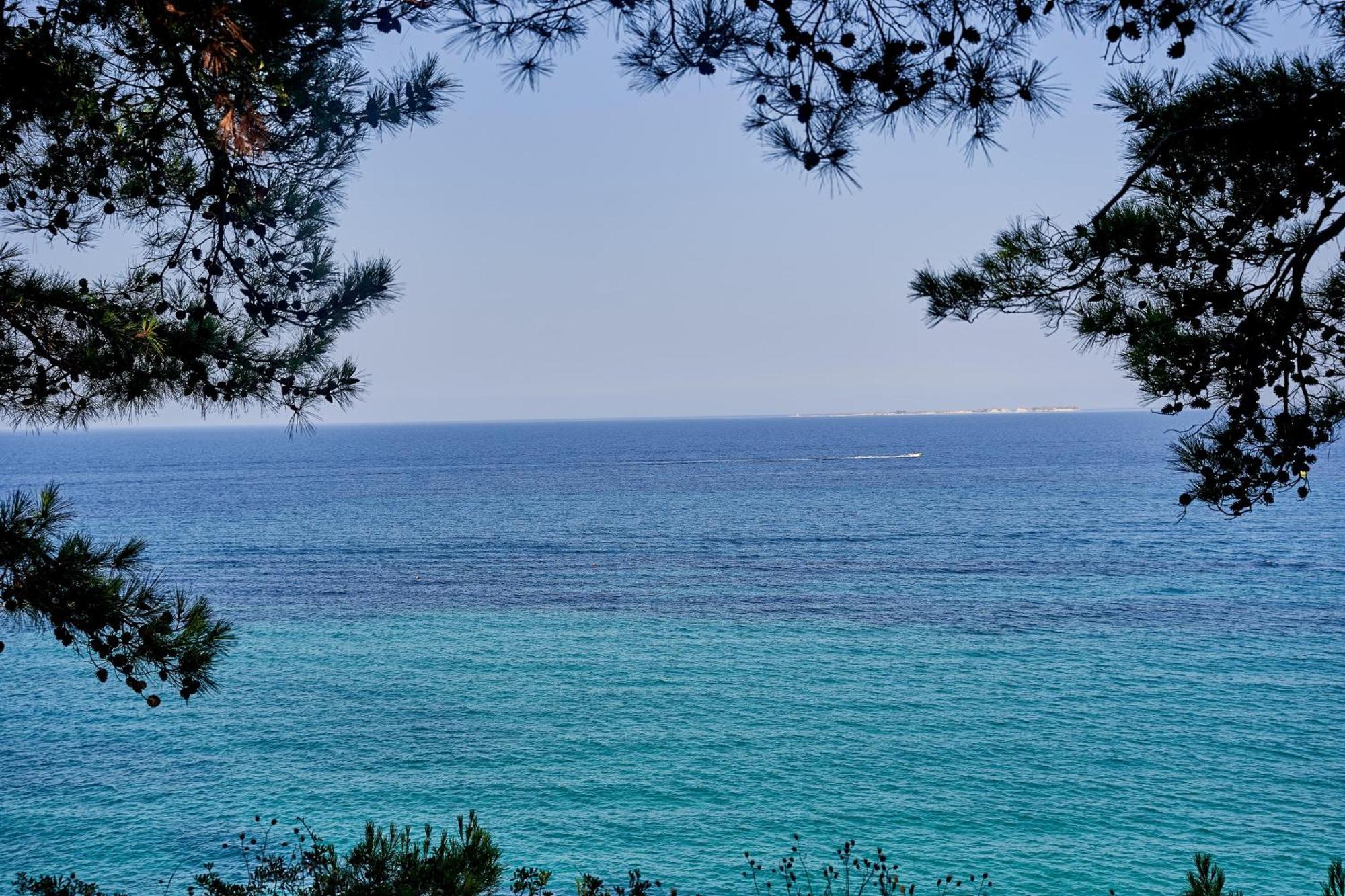 White Rocks Hotel Kefalonia Lassi  Exterior photo